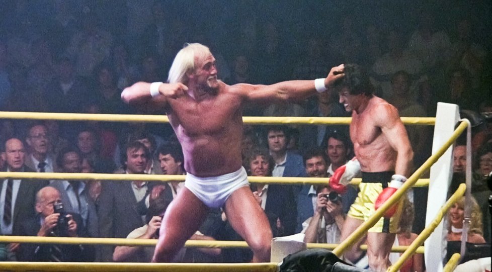 Terry Bollea